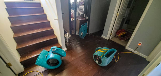 Best Water damage restoration near me  in Yuma, CO