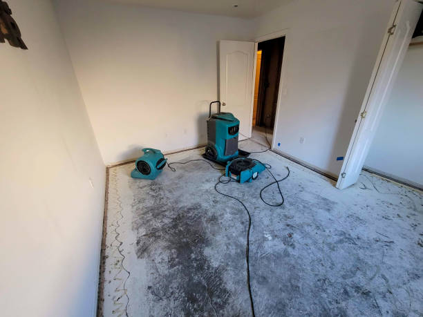 Best Local water damage restoration  in Yuma, CO