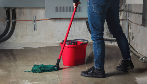 Best Carpet water damage restoration  in Yuma, CO