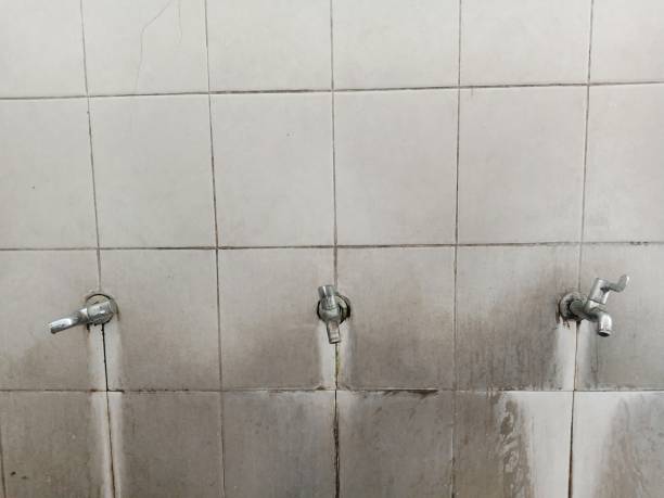 Best Basement water damage restoration  in Yuma, CO