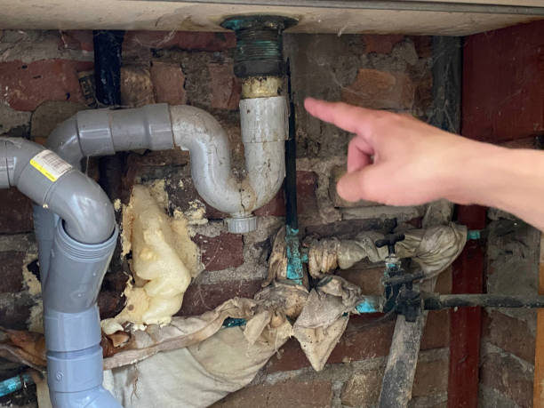 Best Water damage restoration cost  in Yuma, CO