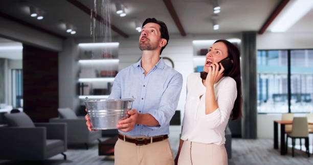 Best Ceiling water damage repair  in Yuma, CO