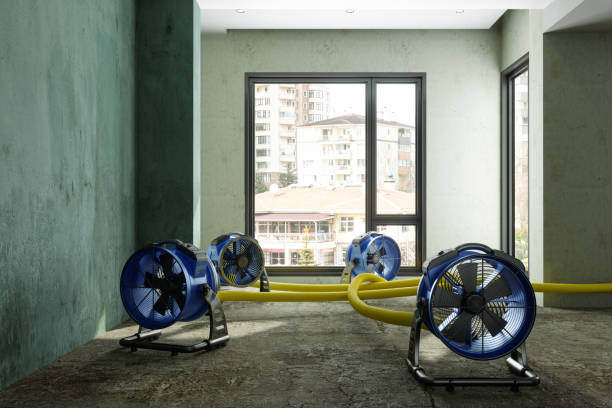 Best Carpet water damage restoration  in Yuma, CO